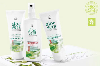 aloe-vera-89